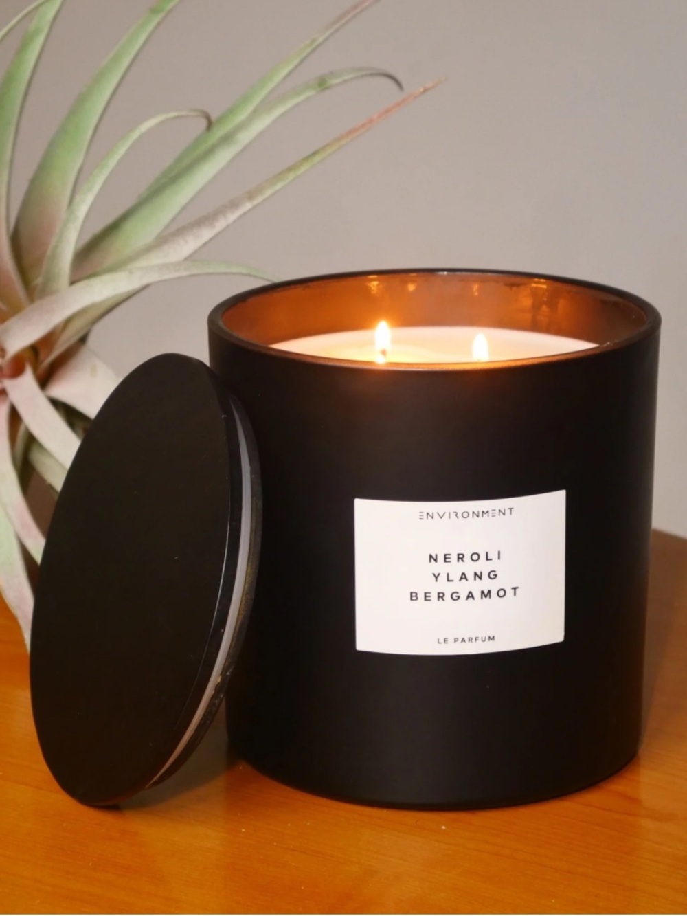 [NWT] ENVIRONMENT 55oz Large Candle